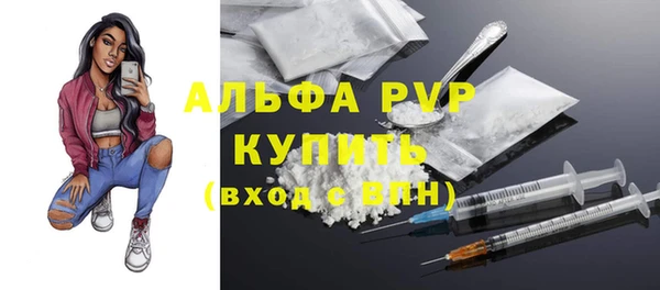 СК Аркадак