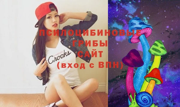 сатива Баксан