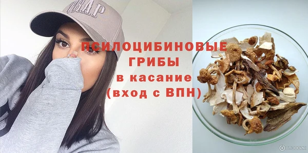 а пвп мука Армянск
