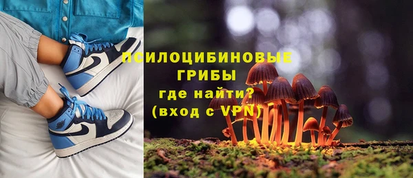 сатива Баксан