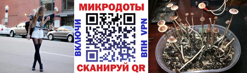 Псилоцибиновые грибы Psilocybine cubensis shop клад Пустошка